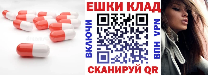 Ecstasy Punisher  Купить  Онега 