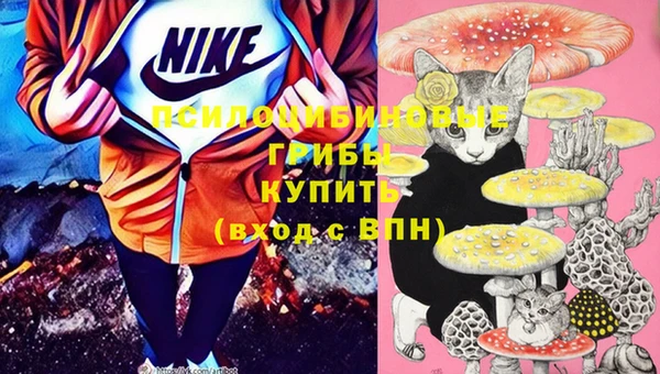 кокаин колумбия Дмитриев